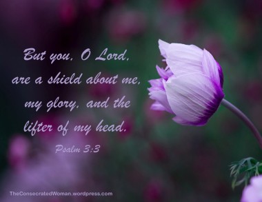 Psalm 3 3
