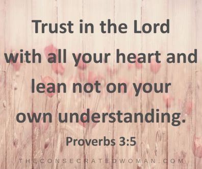 Proverbs 3 5 (2)