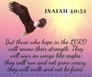 Isaiah 40 31