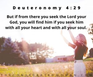 Deuteronomy 4 29