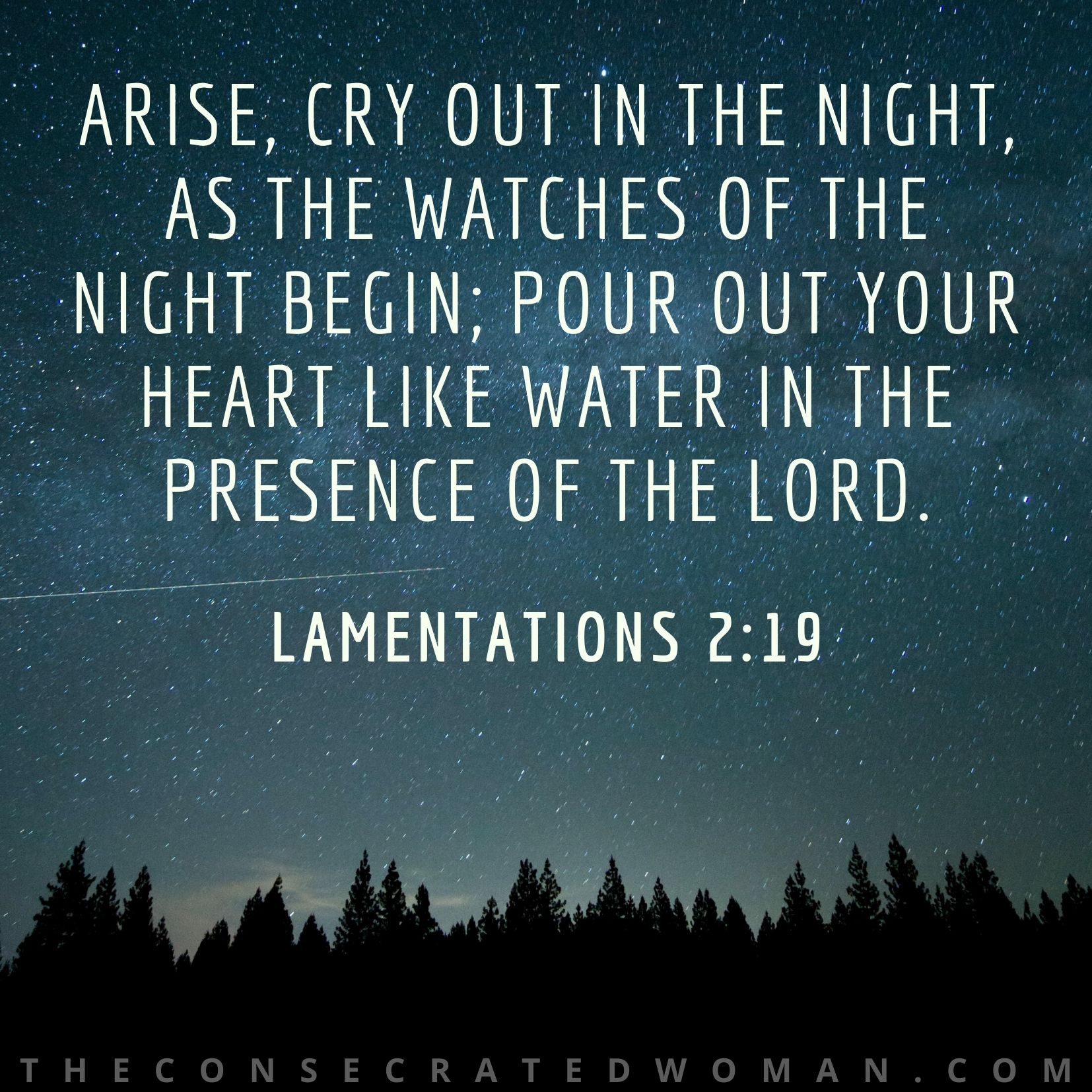 Lamentations 2 19