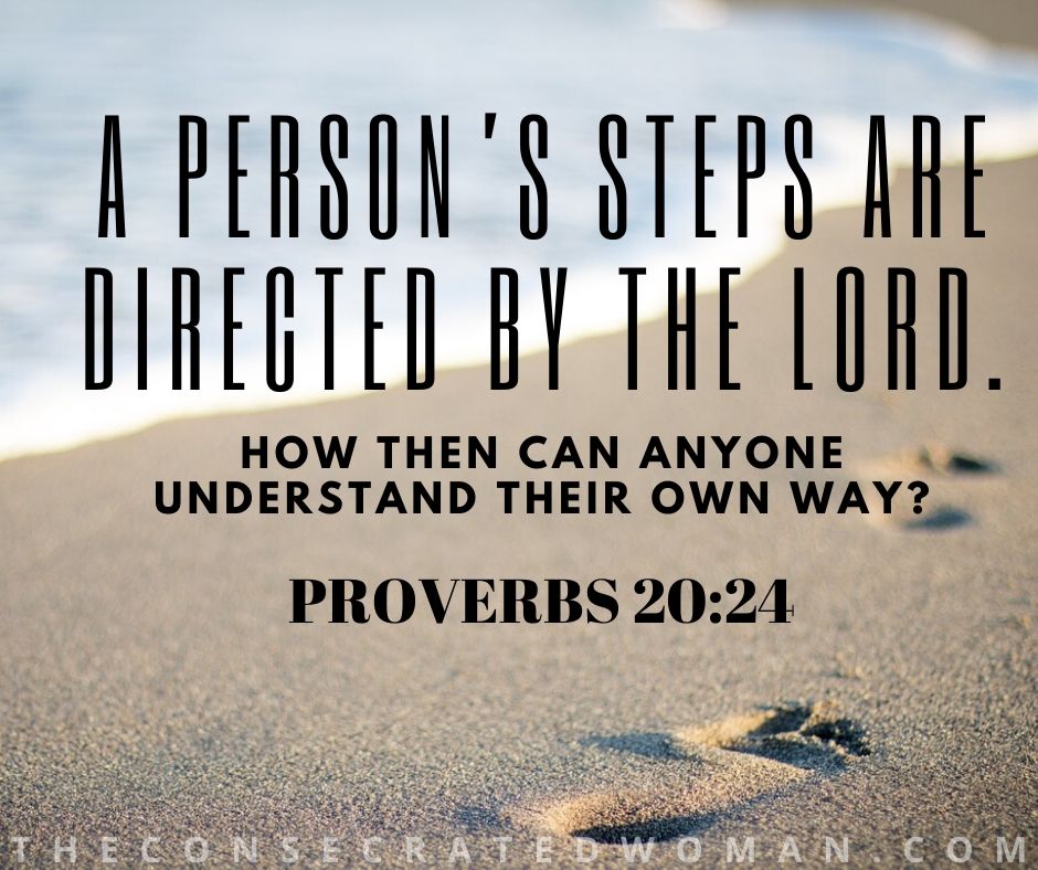 Proverbs 20 24